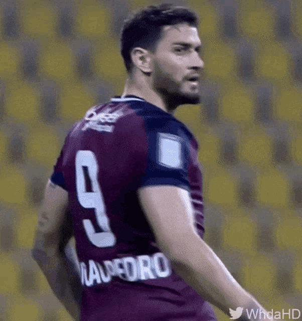 a soccer player wearing a number 9 jersey is standing on a field .