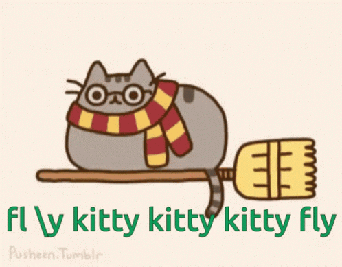 Harry Potter Cat GIF - Harry Potter Cat On Broom GIFs