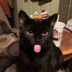 a black cat sticking its tongue out in front of a cup that says c on it