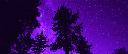 Good Night GIF - Good Night Purple GIFs