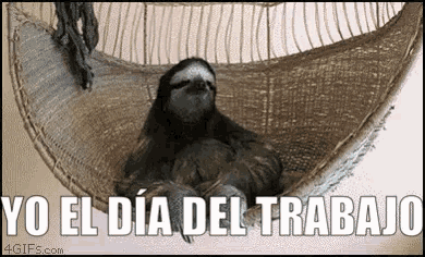 a sloth is sleeping in a hammock with the words `` yo el dia del trabajo '' written on it .