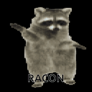 a pixelated image of a raccoon with the word racon written on it