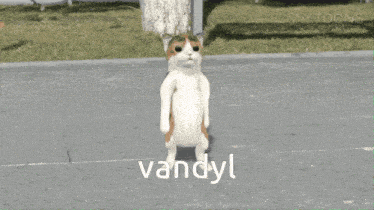 a cat with the word vandyl on the bottom