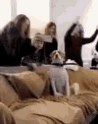 a group of people are sitting on a couch while a dog looks on .