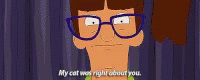 Bobs Fun GIF - Bobs Fun My Cat Was Right About You GIFs