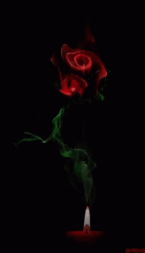 Rose Smoke GIF - Rose Smoke GIFs