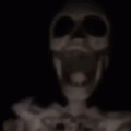 Skull Skeleton GIF - Skull Skeleton Small GIFs