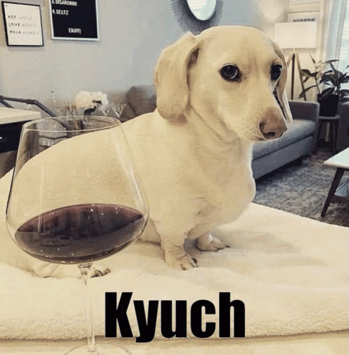 Kyuch GIF - Kyuch GIFs