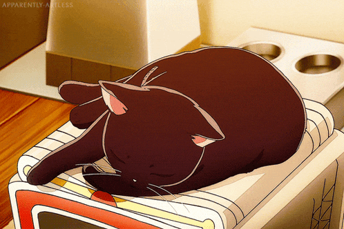 a cat laying on top of a microwave with the words apparently ageless written below it