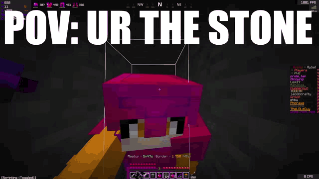 a screen shot of a video game with the words " pov ur the stone "