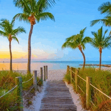 a wooden walkway leads to a tropical beach with palm trees