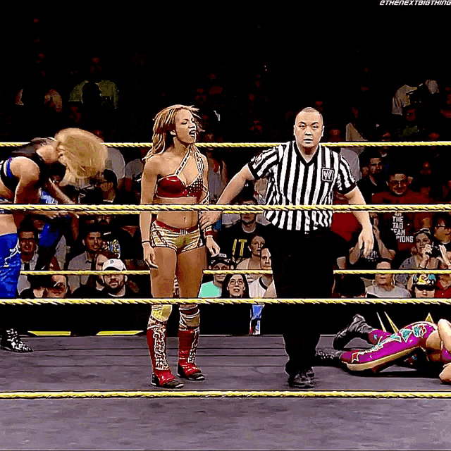 Sasha Banks Charlotte Flair GIF