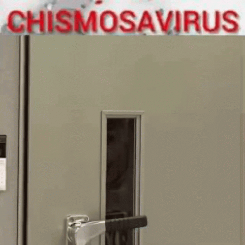 Chismosavirus Rapsoloist GIF - Chismosavirus Rapsoloist Mark Lee GIFs