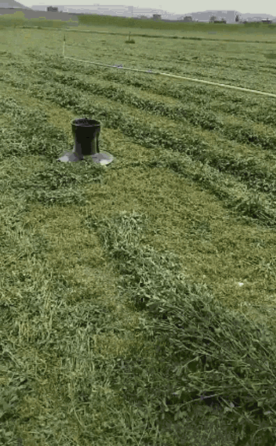 a large field of grass with a black bucket in the middle