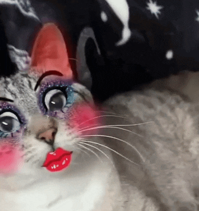 a close up of a cat with makeup on it 's face .