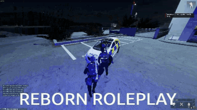 a screenshot of a video game with the words reborn roleplay at the top