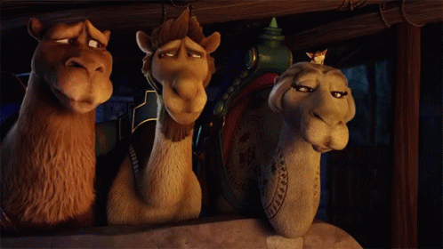 Laughing Camels GIF - Laughing Camels The Star GIFs