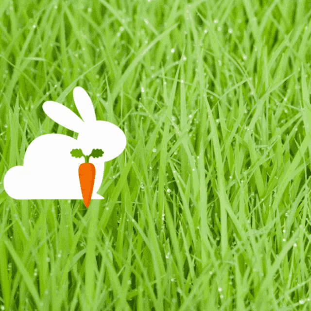 a picture of a rabbit with a carrot in its mouth and the number 04