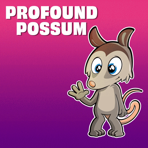 a cartoon of an opossum with the words profound possum above it