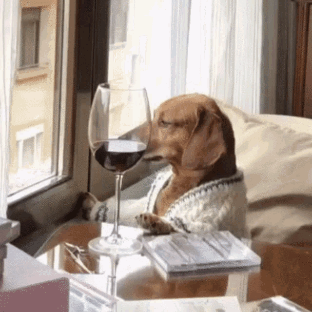Dog Dog Wine GIF - Dog Dog Wine Soobsomi GIFs