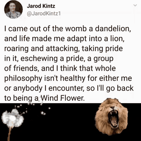 a tweet by jarod kitz with a picture of a lion