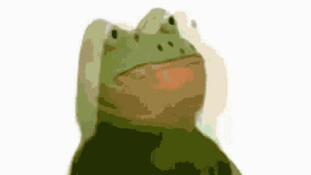 a frog with a rainbow of colors on it 's face is looking up on a white background .