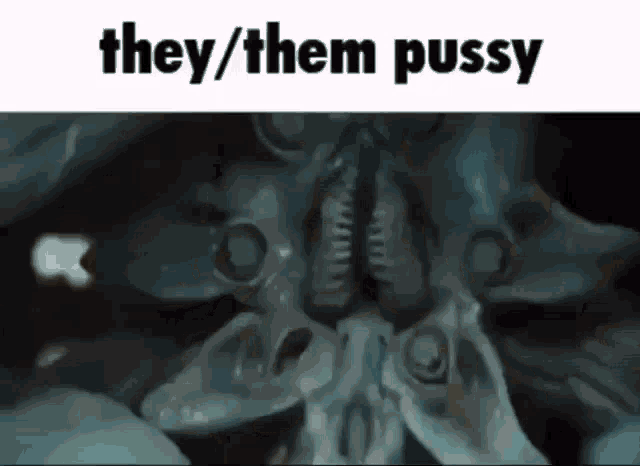 a picture of a squid with the words they / them pussy written above it