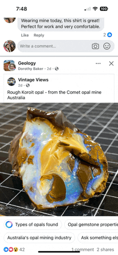 a screenshot of a facebook page with a picture of an opal