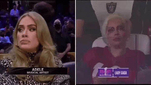 adele and lady gaga are sitting in the stands at a sports game