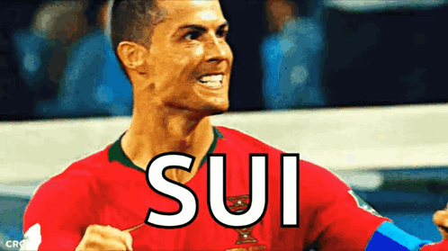 Cristiano Ronaldo Ronaldo Portugal GIF - Cristiano Ronaldo Ronaldo Portugal Ronaldo GIFs