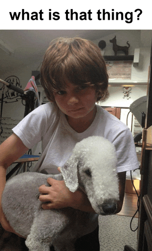 a young boy holding a small white dog with the words what is that thing behind him