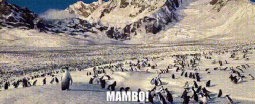 Happy Feet Mambo GIF - Happy Feet Mambo Adelie Penguins GIFs