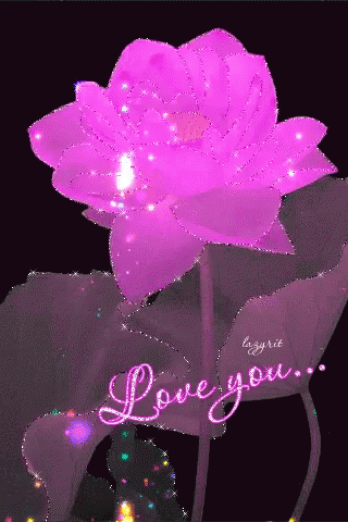 Love You Pink GIF - Love You Pink Rose GIFs