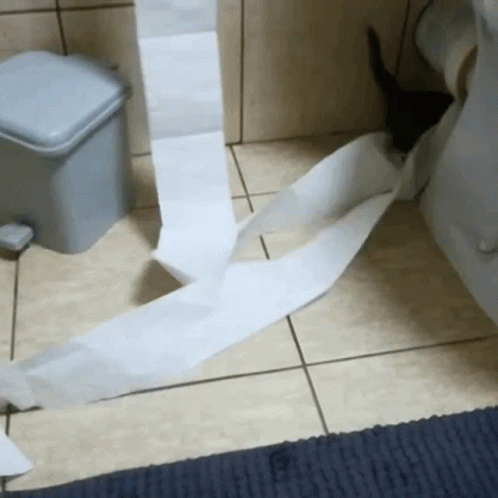 Cat Toilet Paper GIF