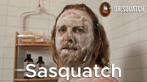Sasquatch In The Snow Squatch In The Snow GIF - Sasquatch In The Snow Squatch In The Snow Sasquatch GIFs