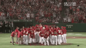 カープ　野球　かーぷ　スポーツ　広島　リーグ GIF - Hiroshima Carp Baseball GIFs