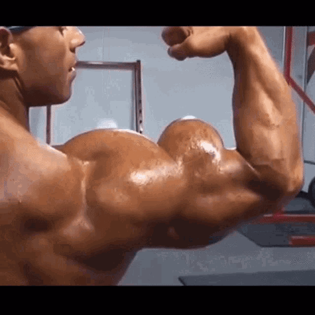 Качки мускулы. Огромный бицепс. Огромные мышцы. Анимированная мышц. Накаченный бицепс.