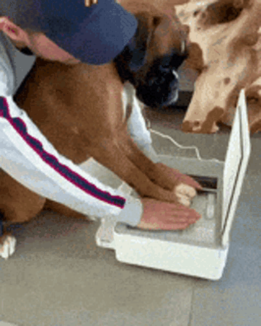 a man is kneeling down next to a dog who is looking at something