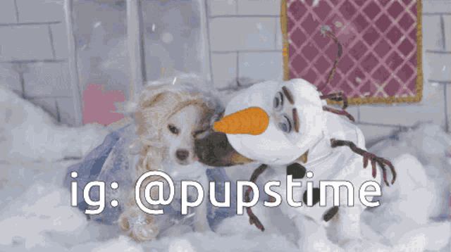 a picture of two dogs dressed as elsa and olaf with the caption ig @pupstime