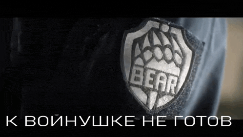 a close up of a person wearing a bear patch on their jacket .