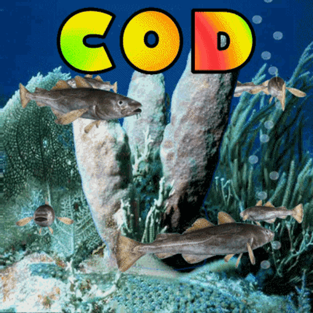 a picture of fish and sponges with the word cod above it