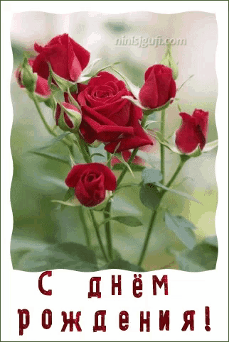 a greeting card with red roses and the words " с днем рождения " in red