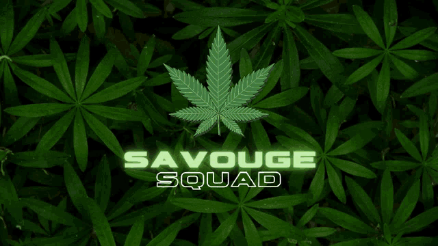 a picture of a marijuana leaf with savouge squad written on it