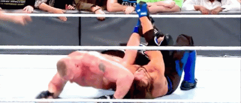Brock Lesnar Aj Styles GIF - Brock Lesnar Aj Styles Survivor Series GIFs