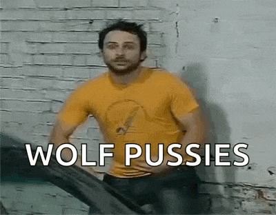 a man in a yellow shirt is standing in front of a brick wall with his hands on his hips and says wolf pussies .