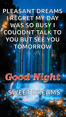 pleasant dreams i regret my day was so busy i couldn t talk to you but see you tomorrow