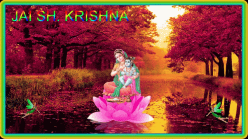 Jai Sh Krishna Trees GIF - Jai Sh Krishna Trees Colors GIFs