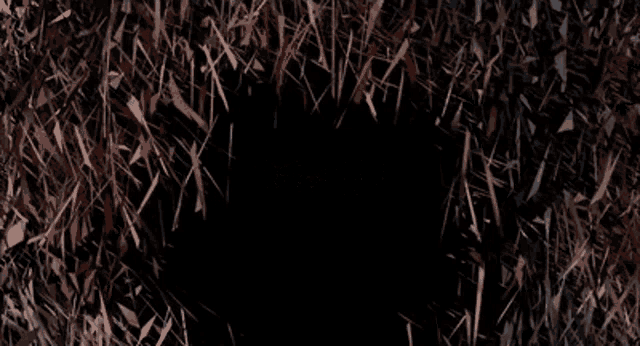 a bunch of sticks are flying in the air on a black background with a hole in the middle .