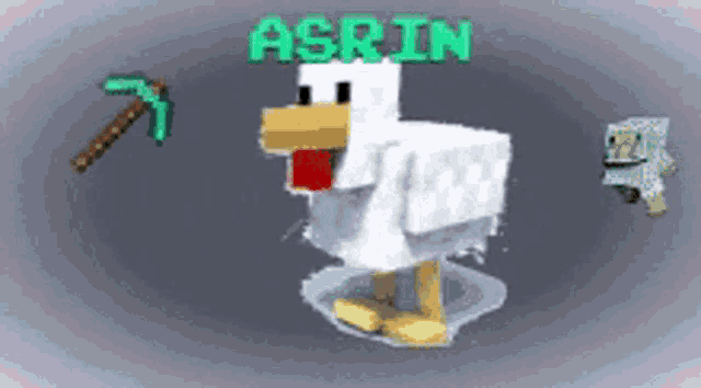a chicken in a minecraft video game with the name asrin above it