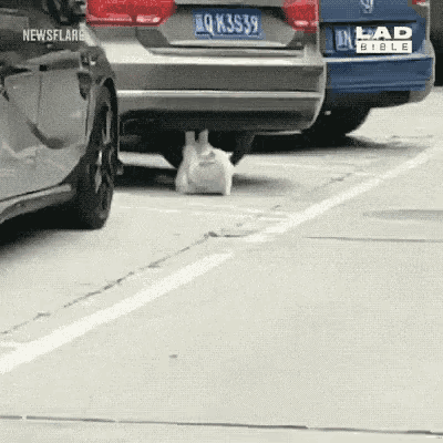 a car with a license plate that says qk3s39 is parked in a parking lot